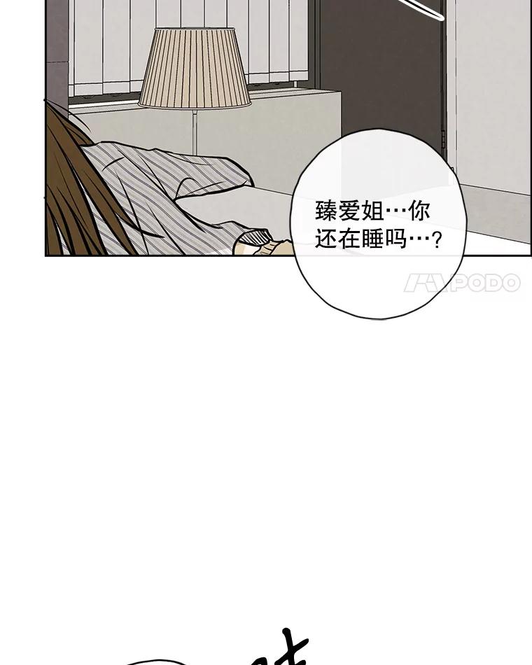 《消失的新郎》97.独家报道 第64页