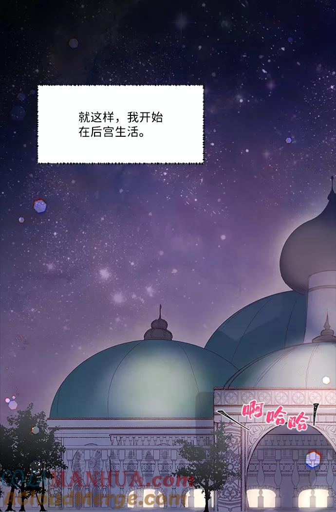 《苏丹之花》第1话 第16页