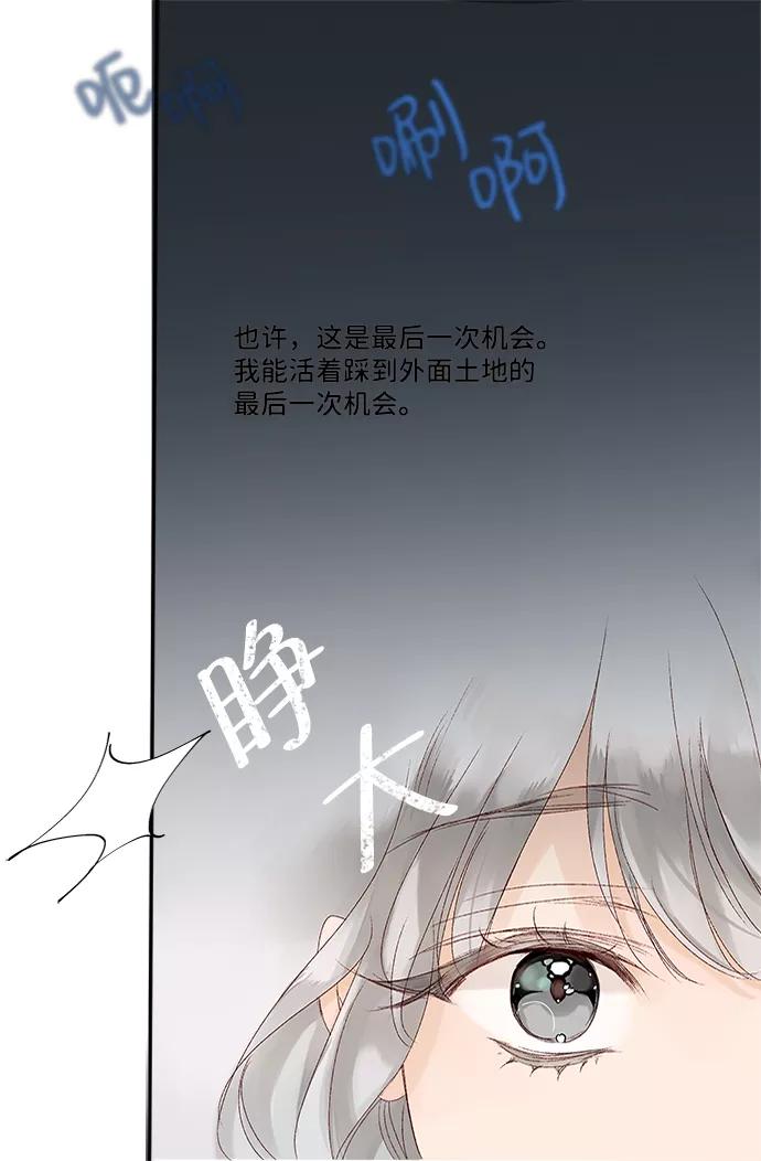 《苏丹之花》第1话 第51页
