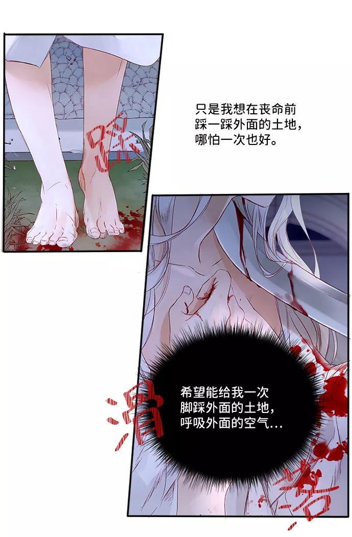 《苏丹之花》第1话 第66页