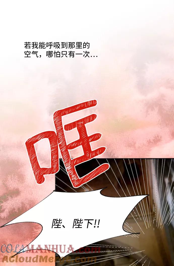 《苏丹之花》第1话 第46页