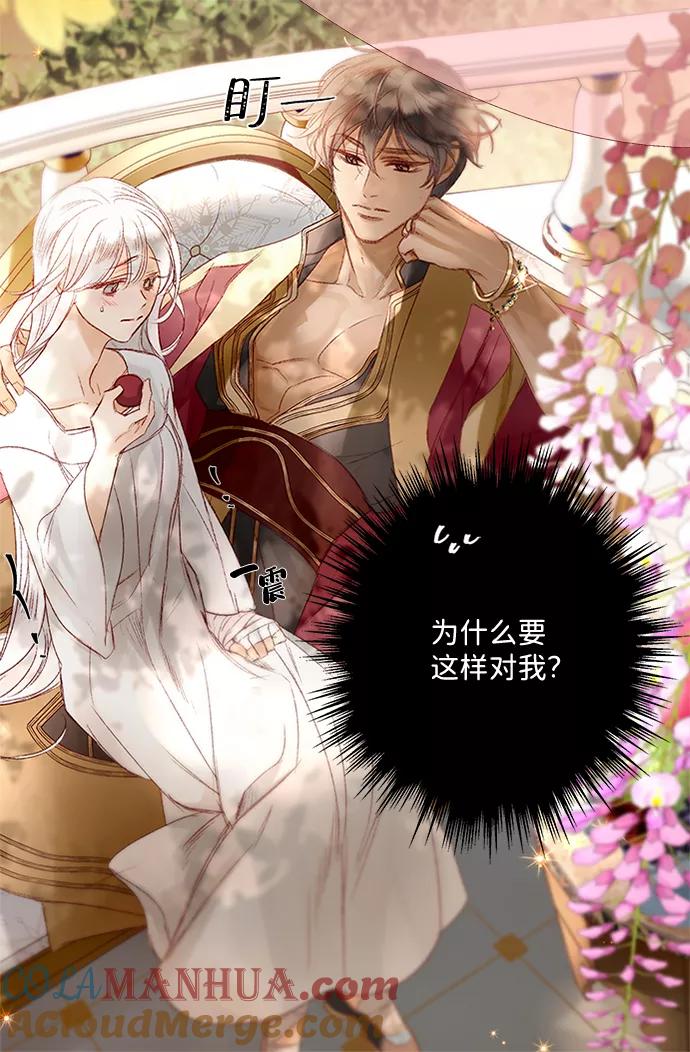 《苏丹之花》第3话 第46页