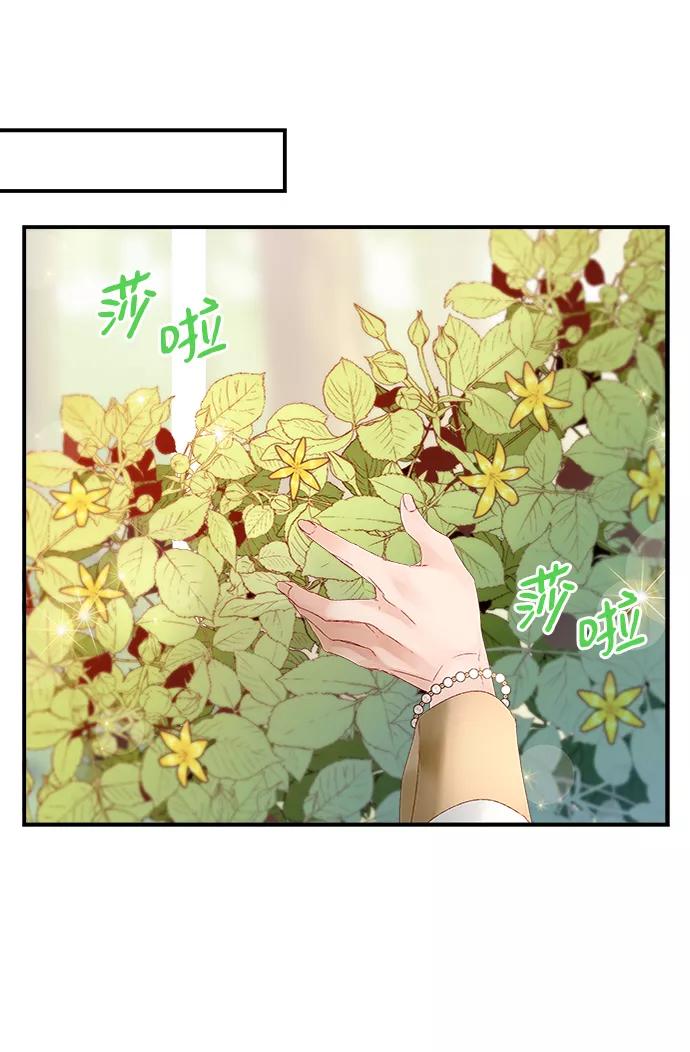 《苏丹之花》第6话 第44页