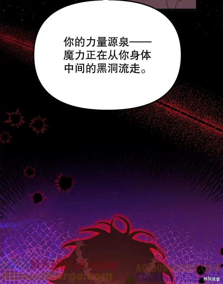《王女在装疯卖傻》第106话 第5页