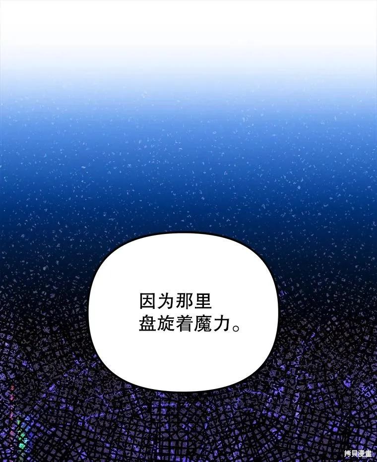 《王女在装疯卖傻》第109话 第74页