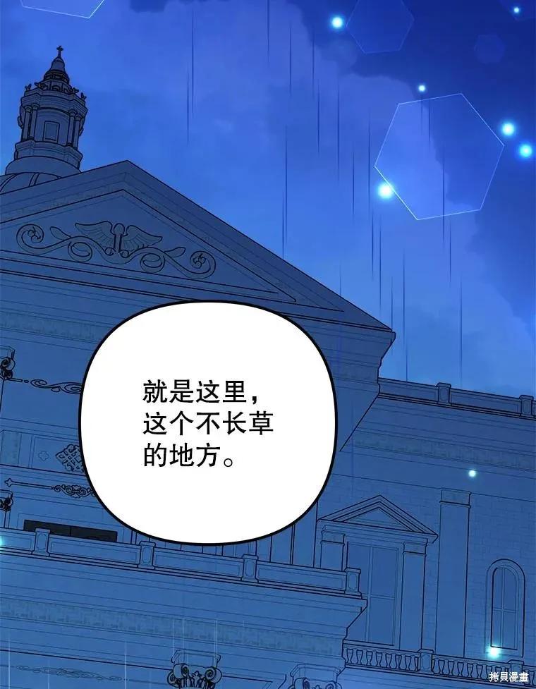《王女在装疯卖傻》第116话 第164页