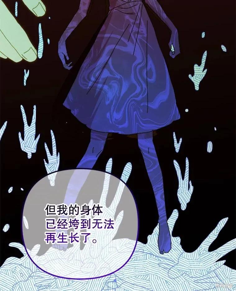 《王女在装疯卖傻》第142话 第138页