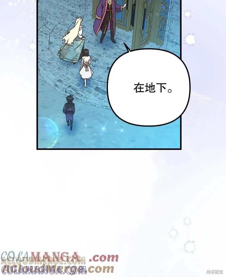 《王女在装疯卖傻》第144话 第17页