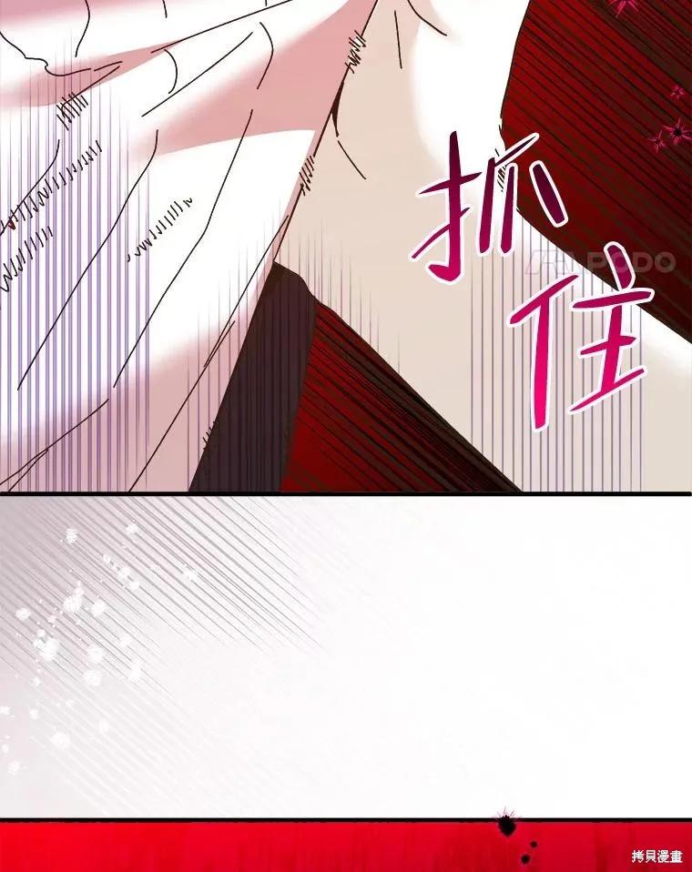 《王女在装疯卖傻》第84话 第162页