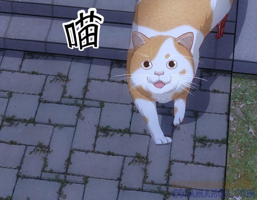 《姜维传》45-见龙卸甲 第81页