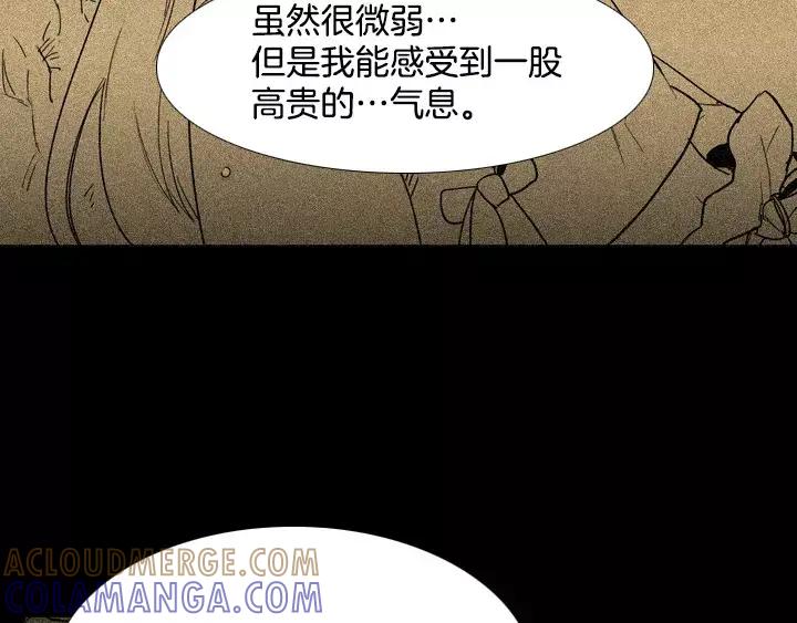 《月夜鸟鸣》第48话 第28页