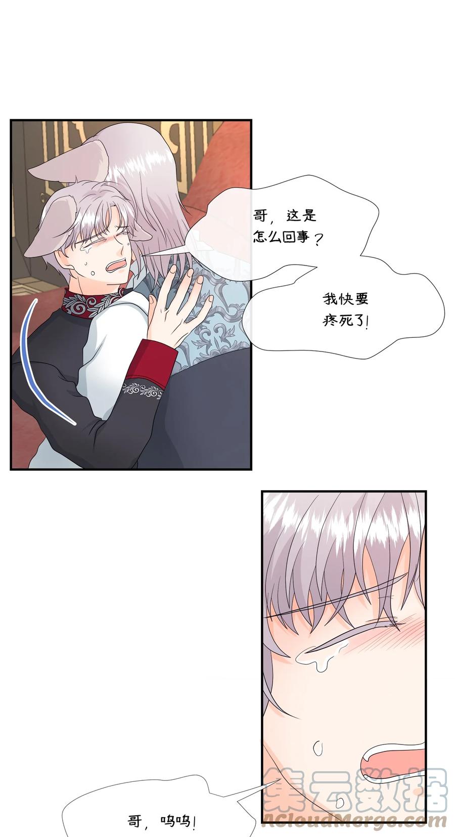 《虽然是狼，但不会伤害你》12 相思病 第55页