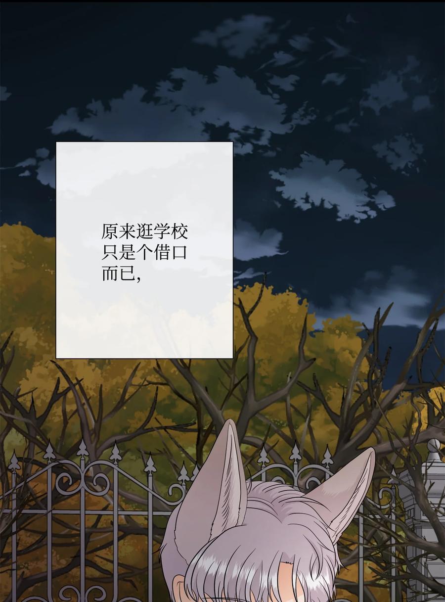 《虽然是狼，但不会伤害你》24 校园漫步 第41页