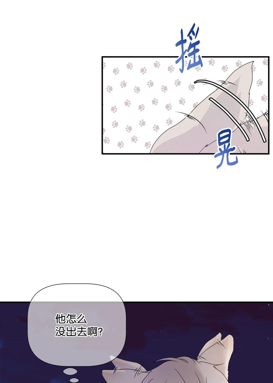 《虽然是狼，但不会伤害你》02 初见罗蒙 第11页