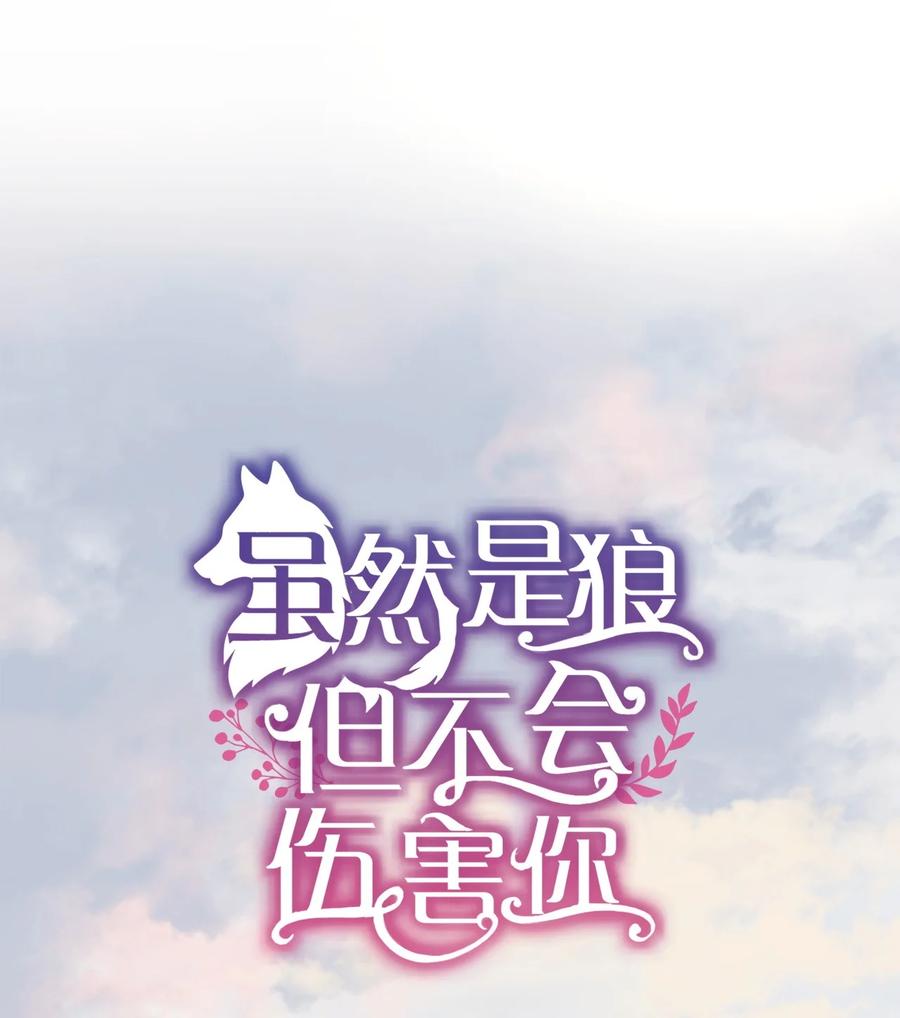 《虽然是狼，但不会伤害你》77 苏菲的诞生 第3页