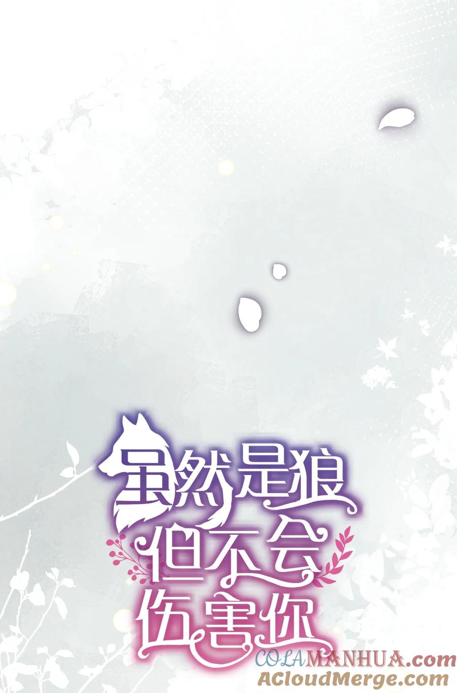 《虽然是狼，但不会伤害你》97 我想听您的课 第17页