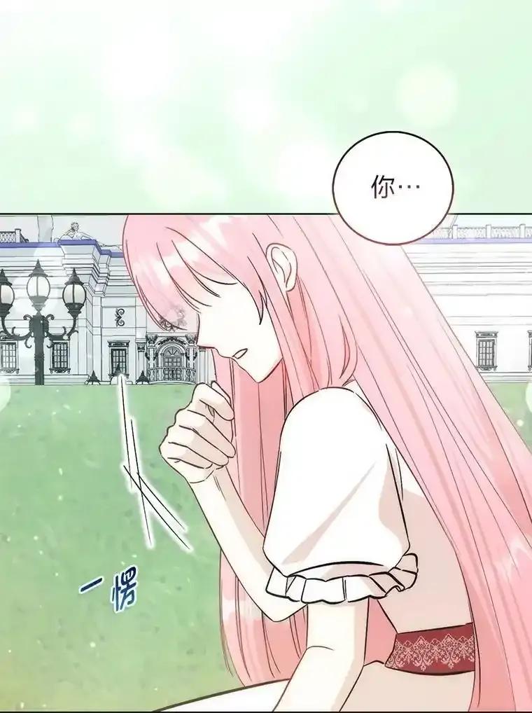 《成为短命女主的妹妹》56.努力靠近 第74页
