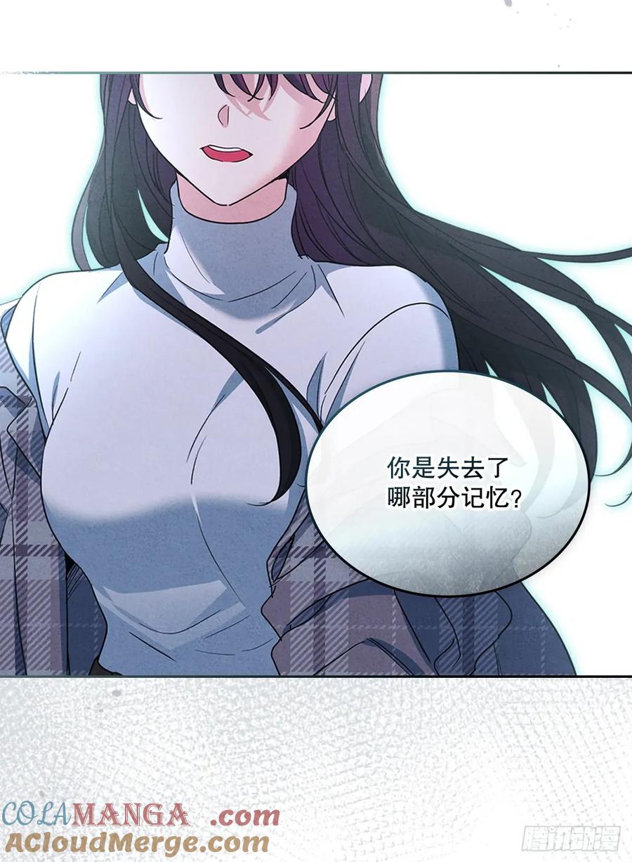 网络小说的法则 245.我也失忆了（2） 第13页