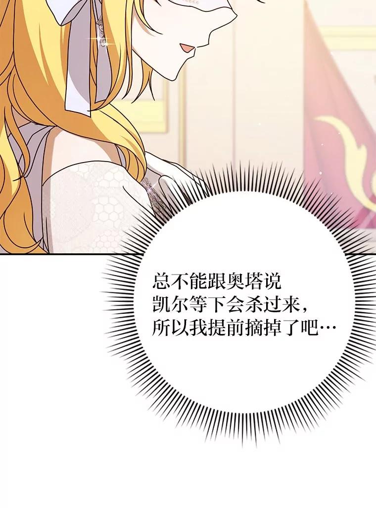 《消失的灰姑娘》36.凯尔现身 第16页