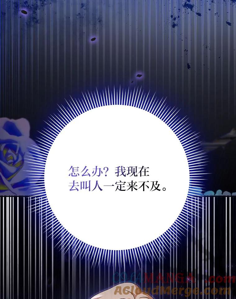 《消失的灰姑娘》36.凯尔现身 第97页