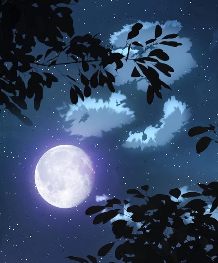 《如果我拯救了背德禽兽》38.一起看星星 第19页