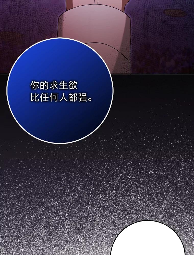 《消失的灰姑娘》37.孤注一掷 第12页
