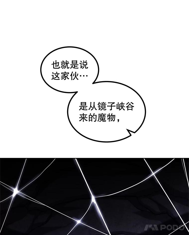 《被圣剑选择的少年》112.复制体 第36页