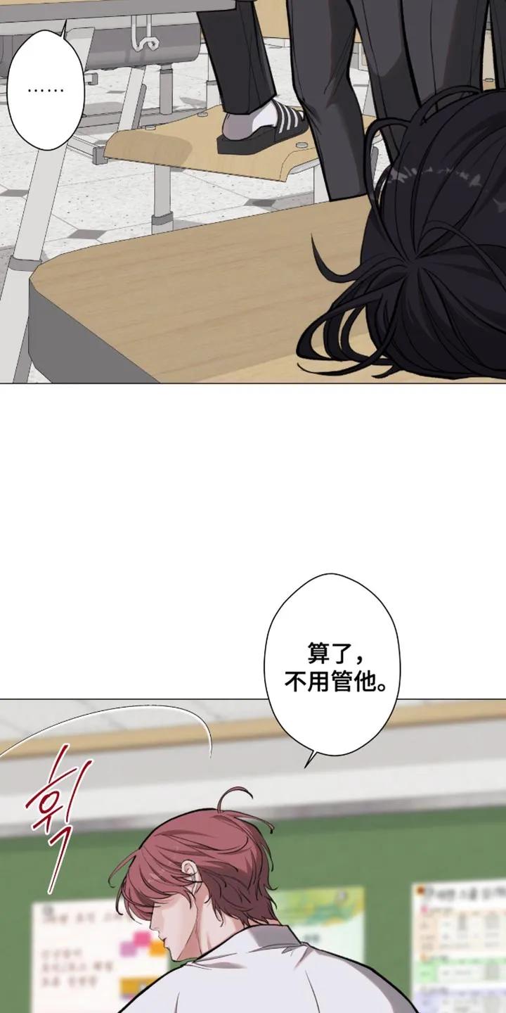 《海岛人生》第103章：【第二季】愧疚感 第4页