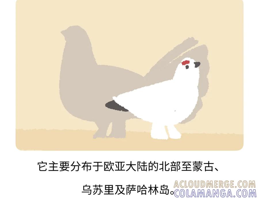 《胖达x胖达》第281话 第21页