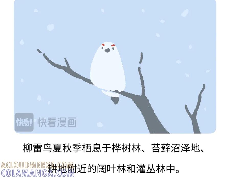 《胖达x胖达》第281话 第27页