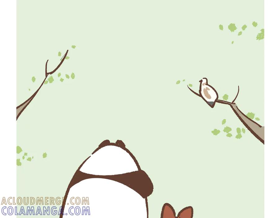 《胖达x胖达》第281话 第17页