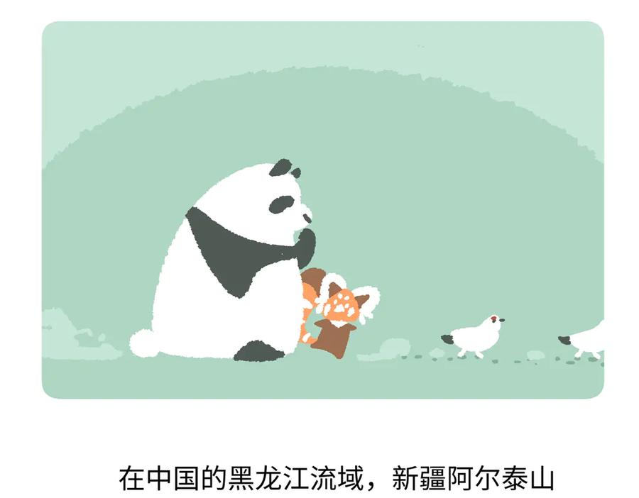 《胖达x胖达》第281话 第22页