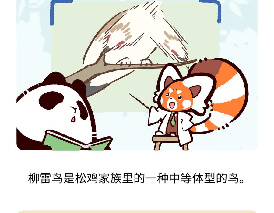 《胖达x胖达》第281话 第20页