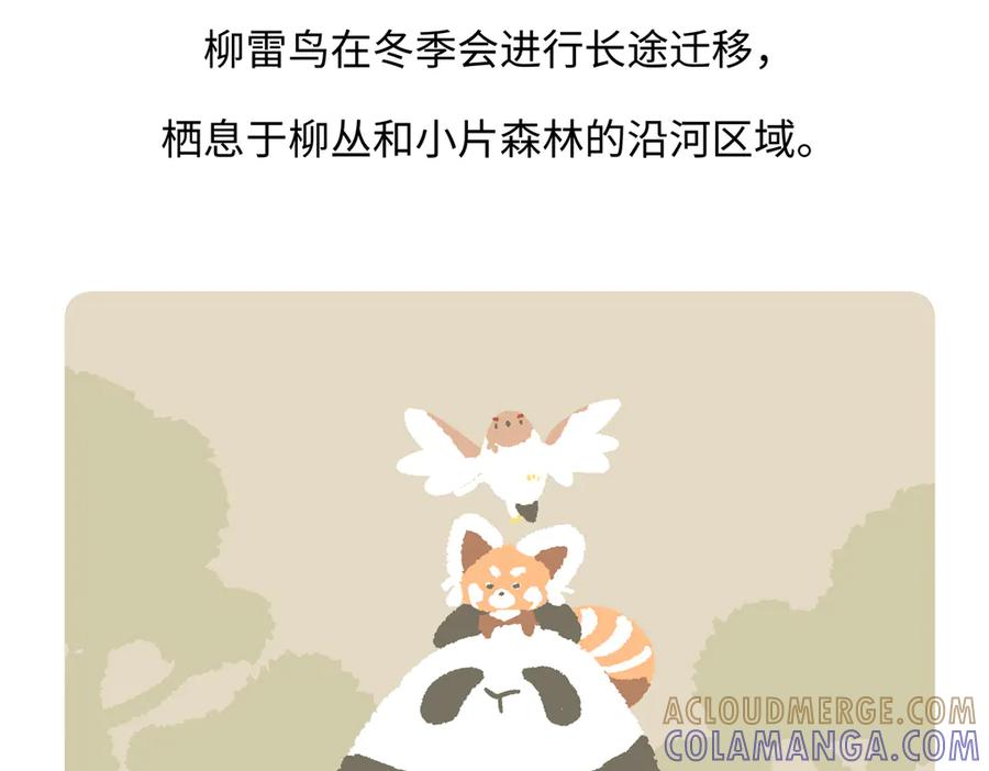《胖达x胖达》第281话 第29页