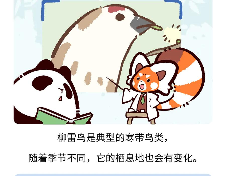 《胖达x胖达》第281话 第26页