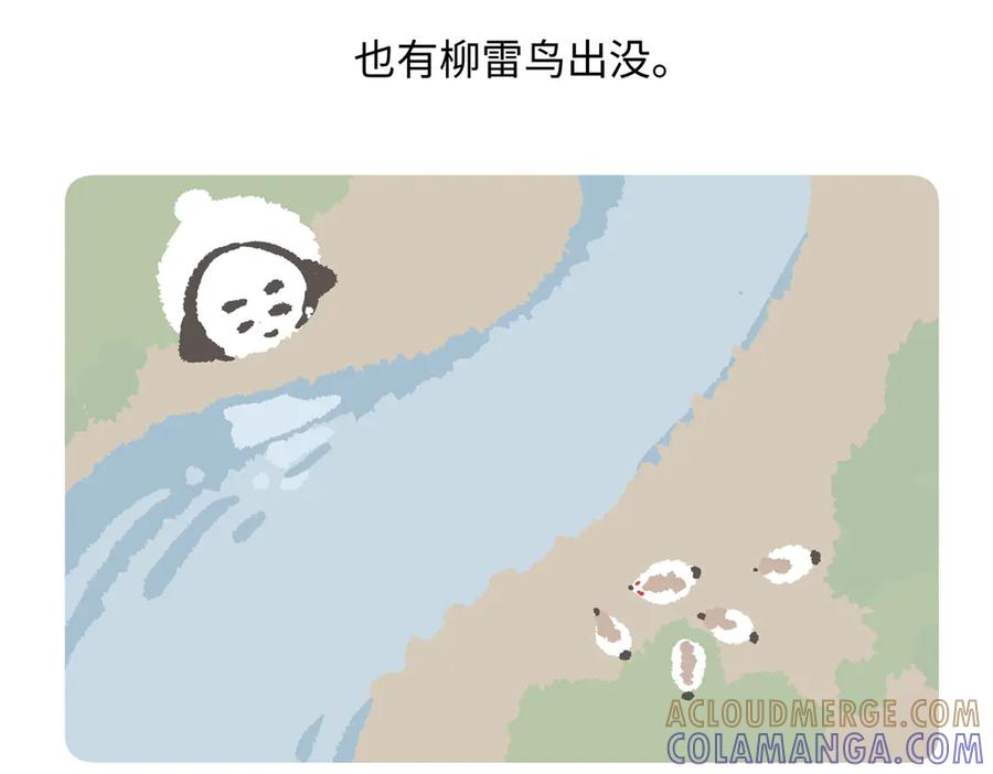 《胖达x胖达》第281话 第23页