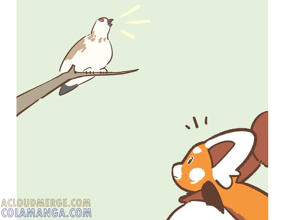 《胖达x胖达》第281话 第11页