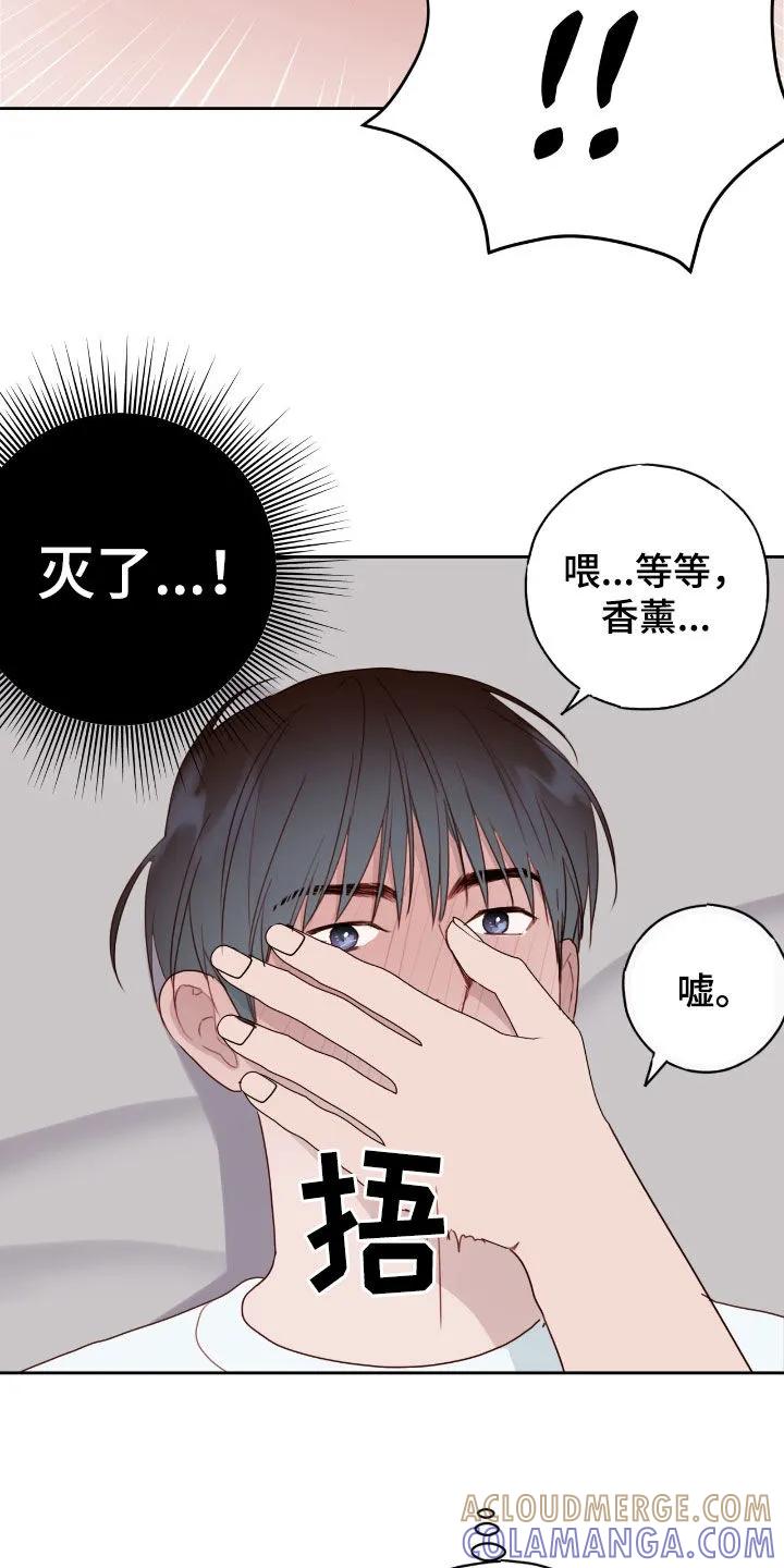 《幻想烛火》第79章：很擅长（第一季完结） 第15页