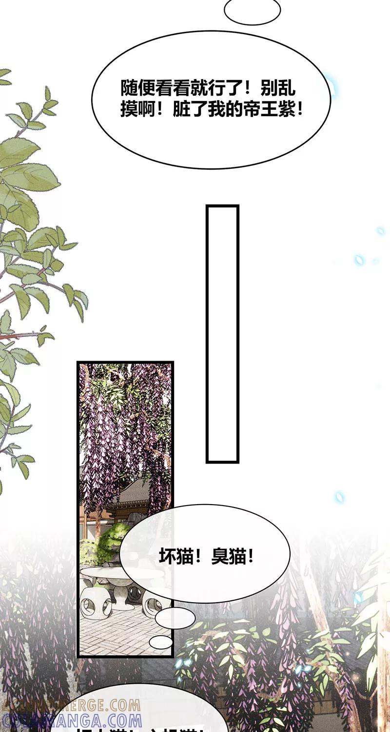 《大唐恋尾癖》第37话 第11页