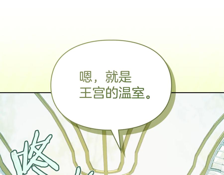 冬城的囚犯小公主 第62话 送花 第100页