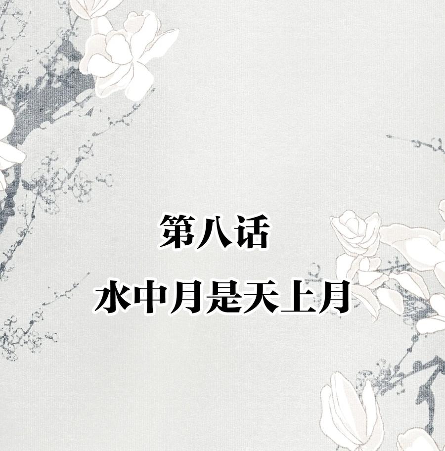 不小心救了江湖公敌 008 水中月是天上月 第2页
