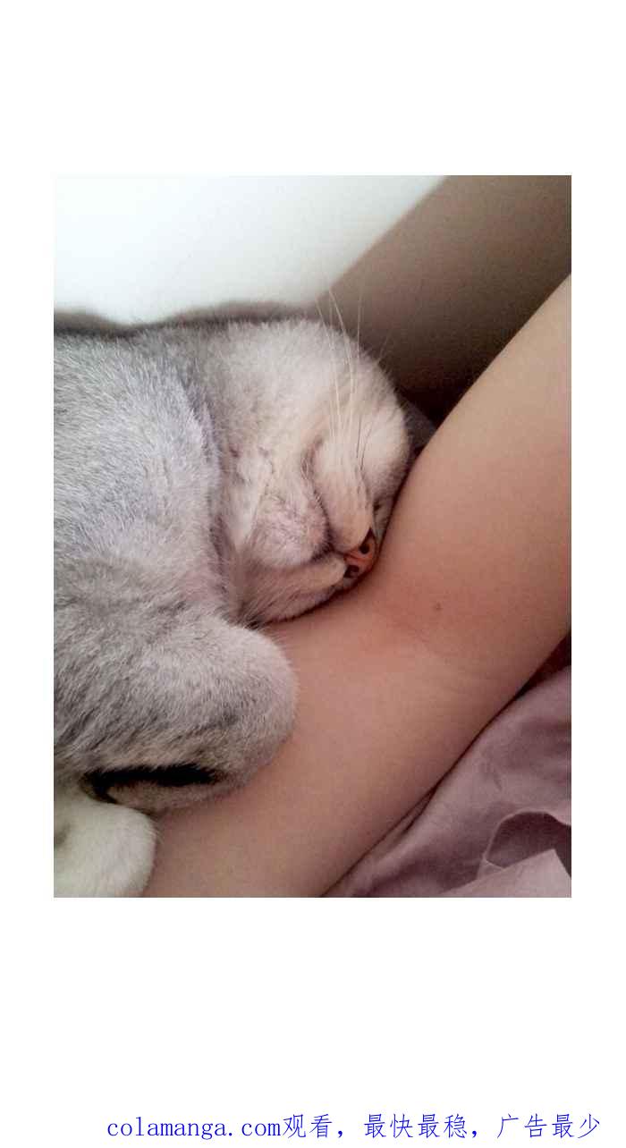 猫剑客 [第73话] 折翼天使 拾陆，我也相信你 第32页