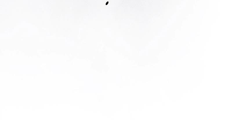 94.jpg