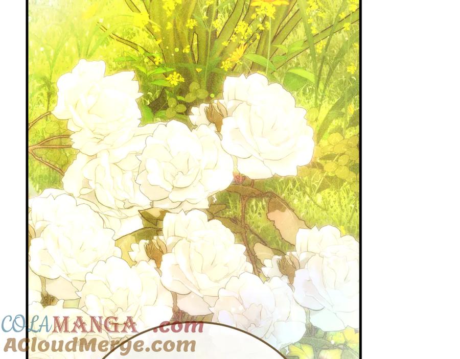 不幸的骑士，请和姐姐恋爱吧 - 第48话 世纪之吻 - 第245张图