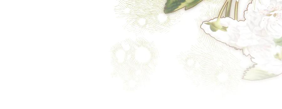 不幸的骑士，请和姐姐恋爱吧 - 第54话 爱情的力量 - 第36张图