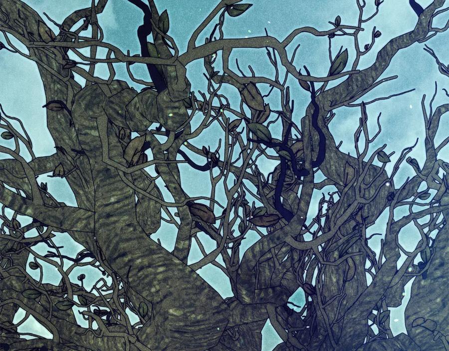 不幸的骑士，请和姐姐恋爱吧 - 第60话 我不喜欢你 - 第232张图