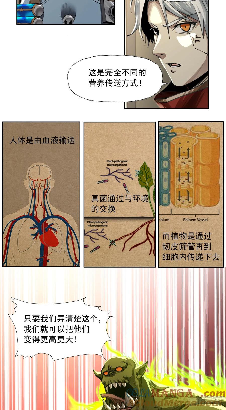 《泰拉战纪》史诗大捷（上） 第15页