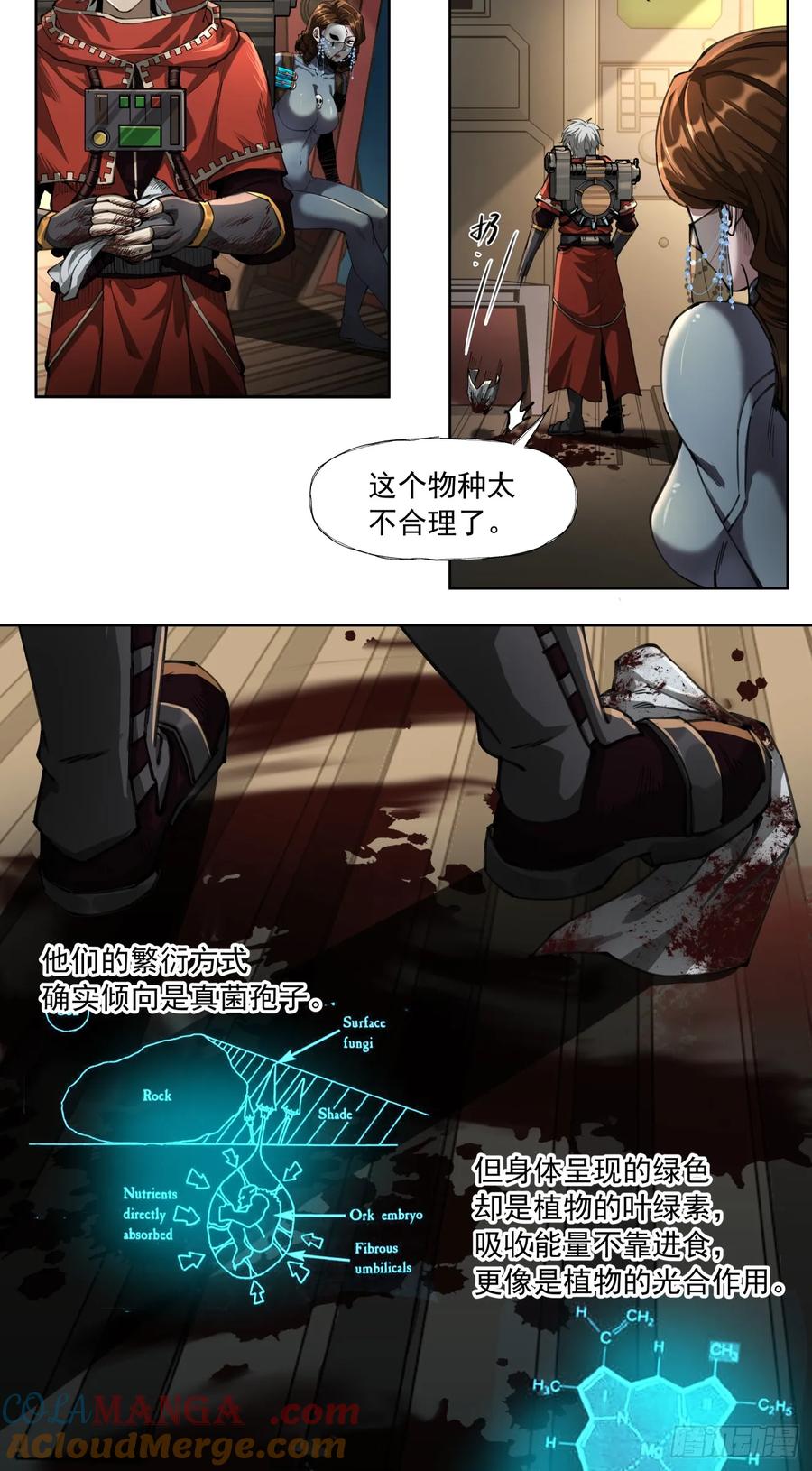 《泰拉战纪》史诗大捷（上） 第13页