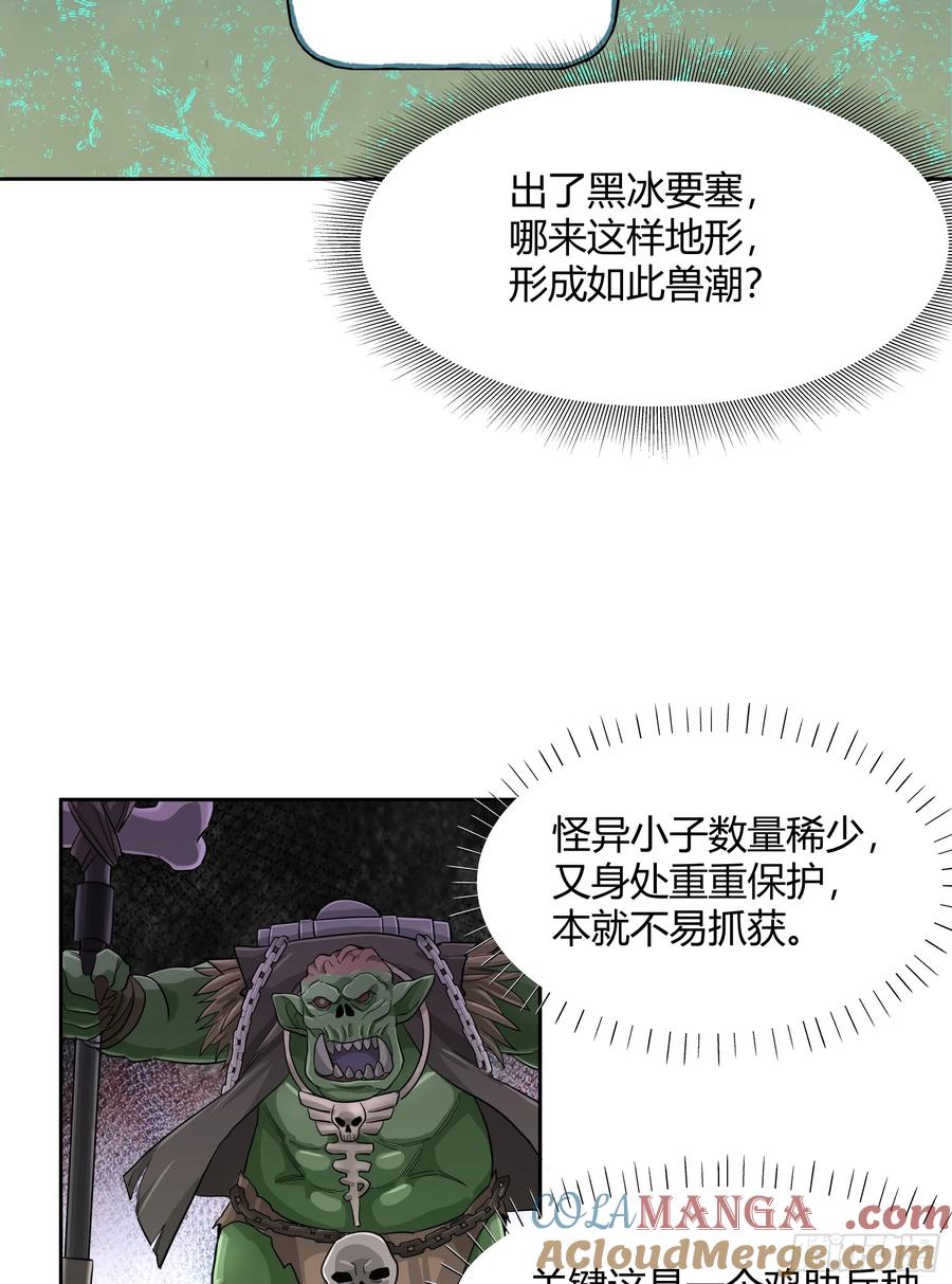 《泰拉战纪》王冠 第19页