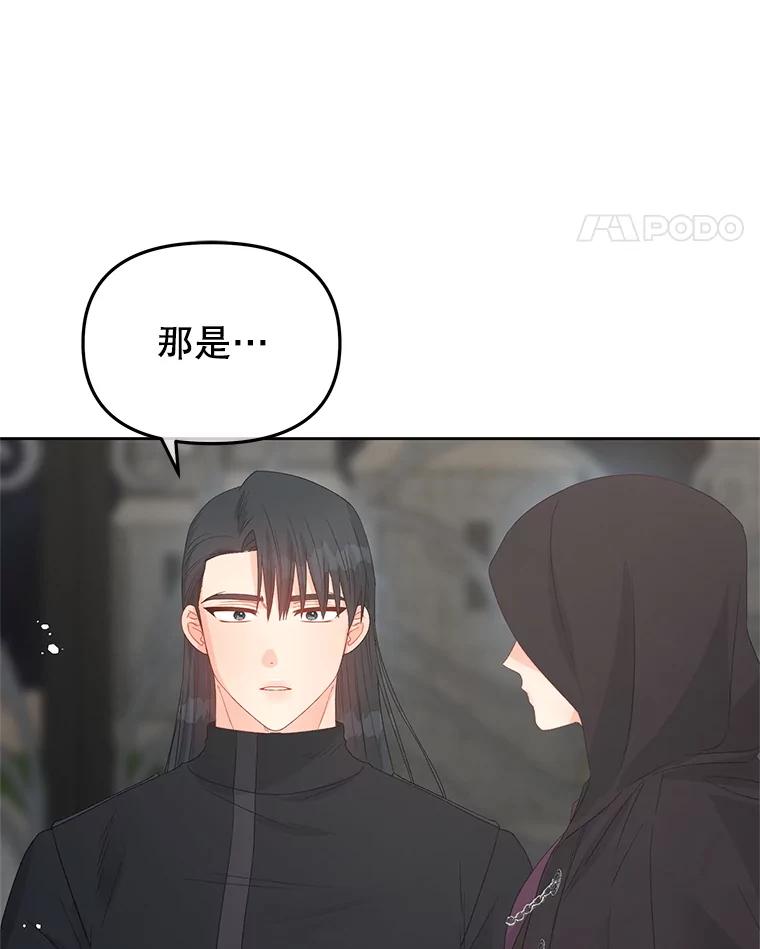 《不要相信那本日记》95.遇刺 第27页